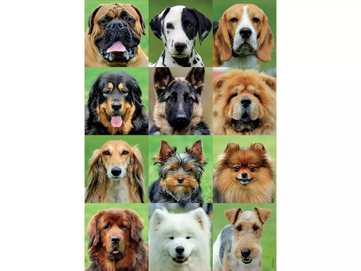 Collage de perros rompecabezas 500 piezas Educa