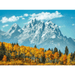 Grand Teton en Otoño Rompecabezas 500 Piezas Clementoni