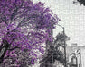 Jacarandas, Ciudad de México Rompecabezas 1000 Piezas Anatolian