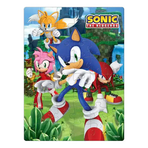 Sonic Rompecabezas Lenticular Novelty