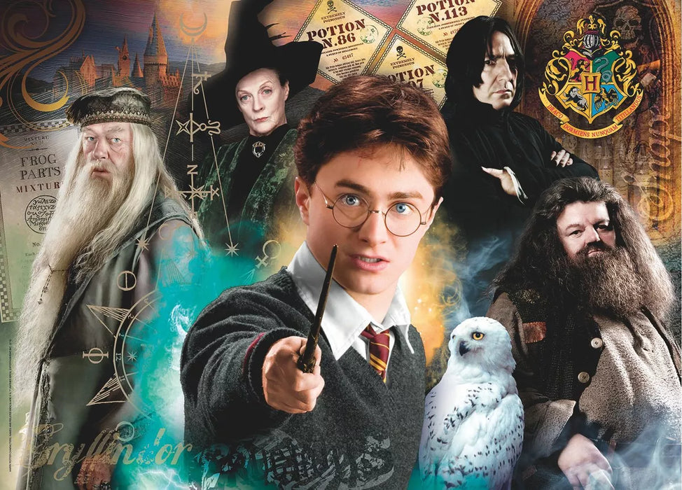 Harry Potter Dumbledore Hedwig Hagrid McGonagall Rompecabezas