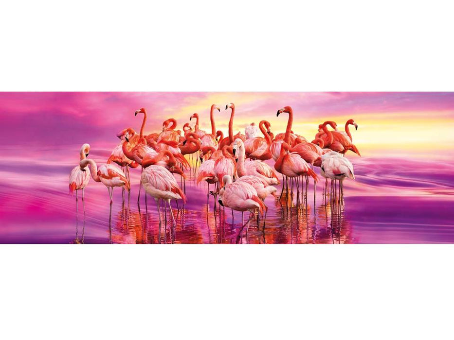 Danza de Flamingos