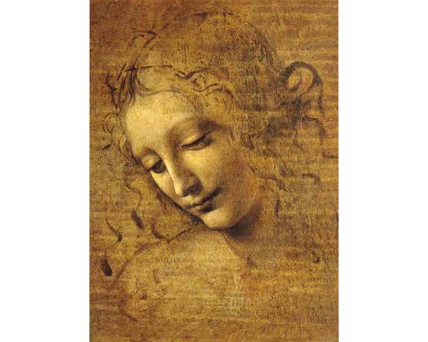 Rostro Joven : Leonardo Da Vinci